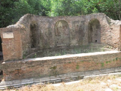 nymphaeum 