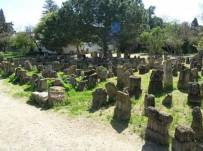 P2210026 
