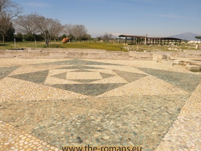 Dionysos  house mosaic 