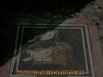 House of  faun floor mosaic 