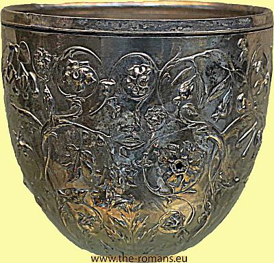 bml294-silver-cup 