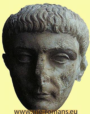 Drusus major 