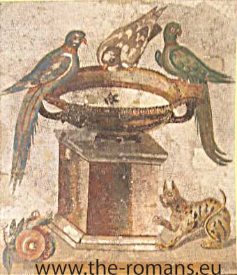 Wallpainting of partridges and a leopard 