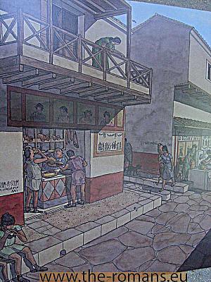 vpf-011-vesuna-picture-shop 