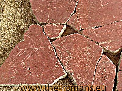 vpf-034-animal-scratched-plaster 